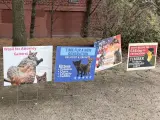 Comienzan las elecciones a alcade felino