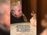 La mejor amiga de su abuela fallecida conoce a su chihuahua.