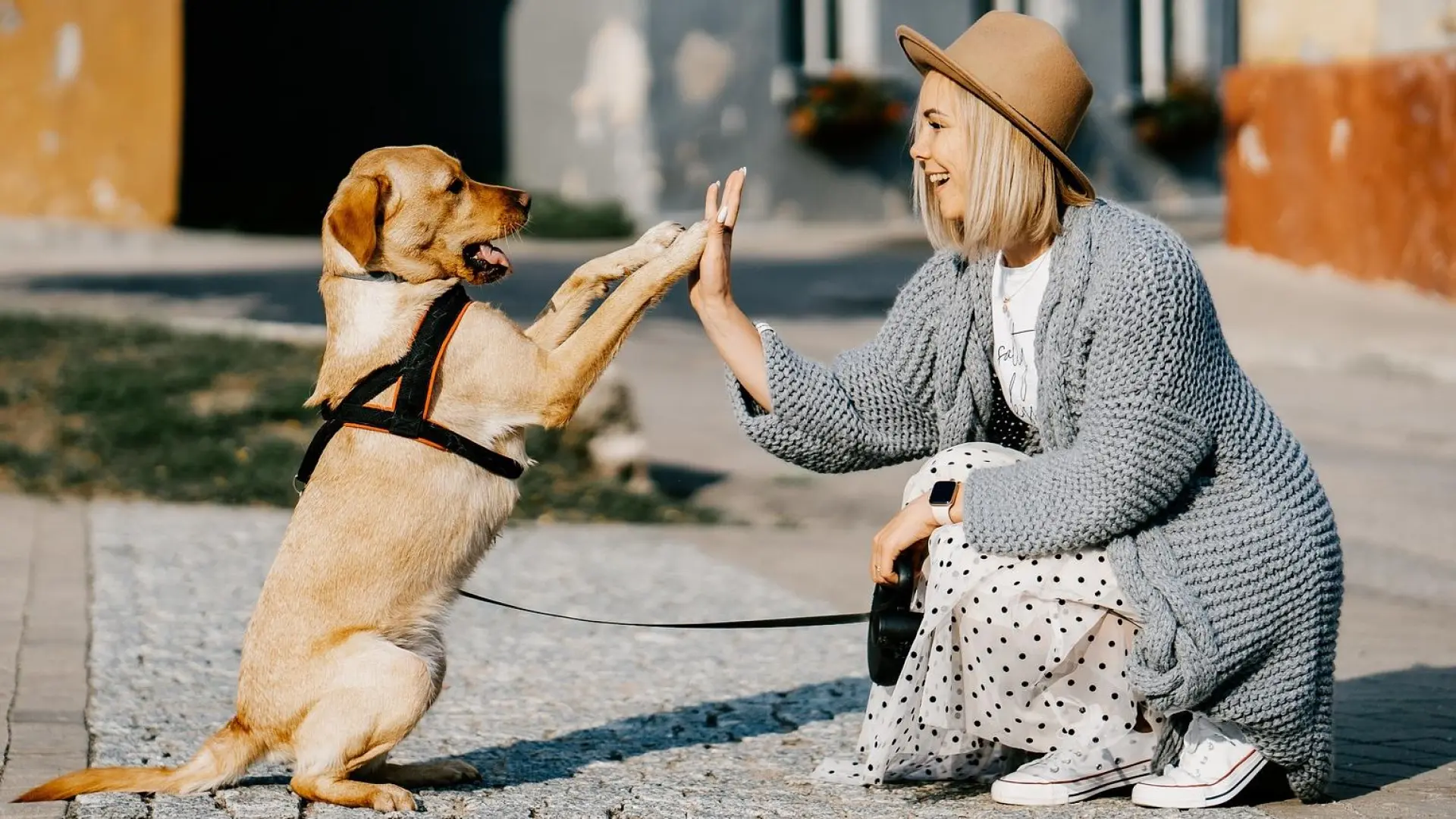 ¿Se parecen los perros a sus dueños? Un estudio revela cuál es la similitud con nuestras mascotas