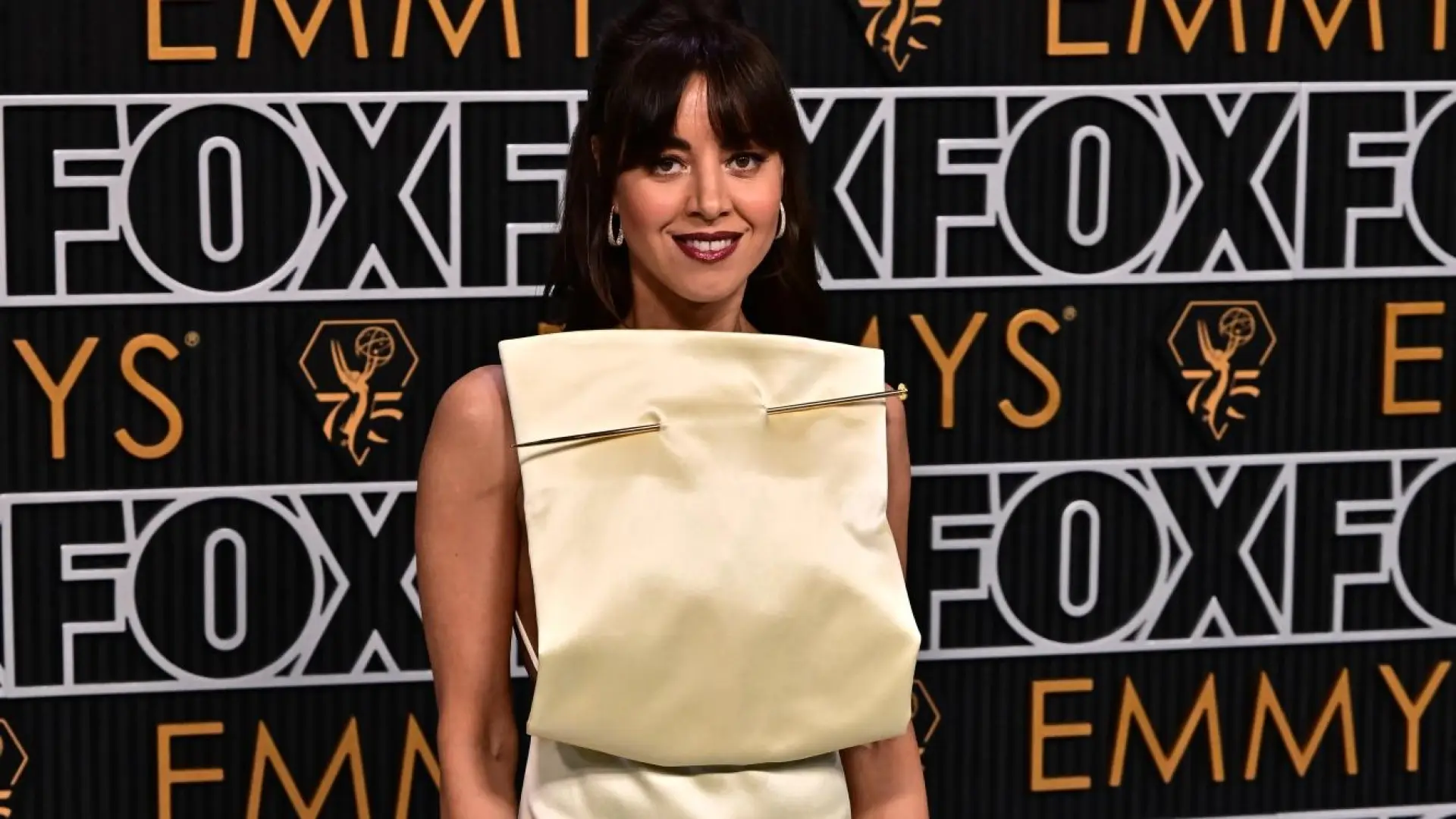 
         El excuñado de Aubrey Plaza acusa a la actriz de "infiel" por estar embarazada de su nueva pareja tras la muerte de Jeff Baena 
    