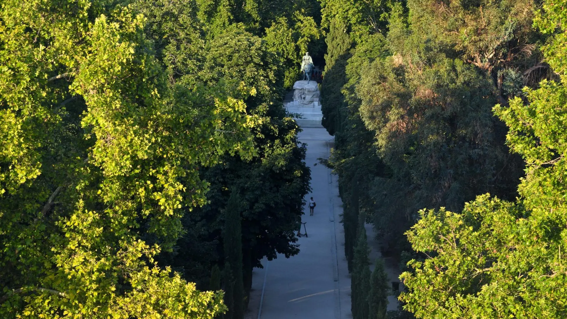 Madrid obtiene el premio internacional de Ciudad Arbórea del Mundo con 5,7 millones de árboles: el 26% de su superficie