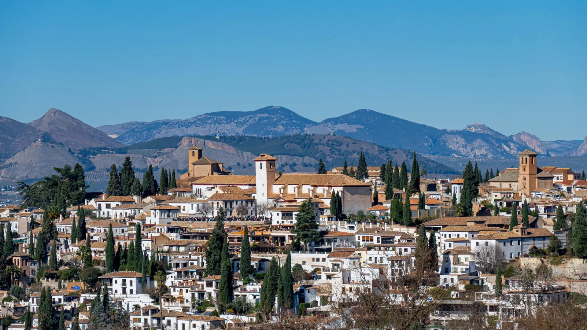 
         Ni gambas al ajillo ni jamón serrano: una de las tapas más famosas de los bares de Granada 
    
