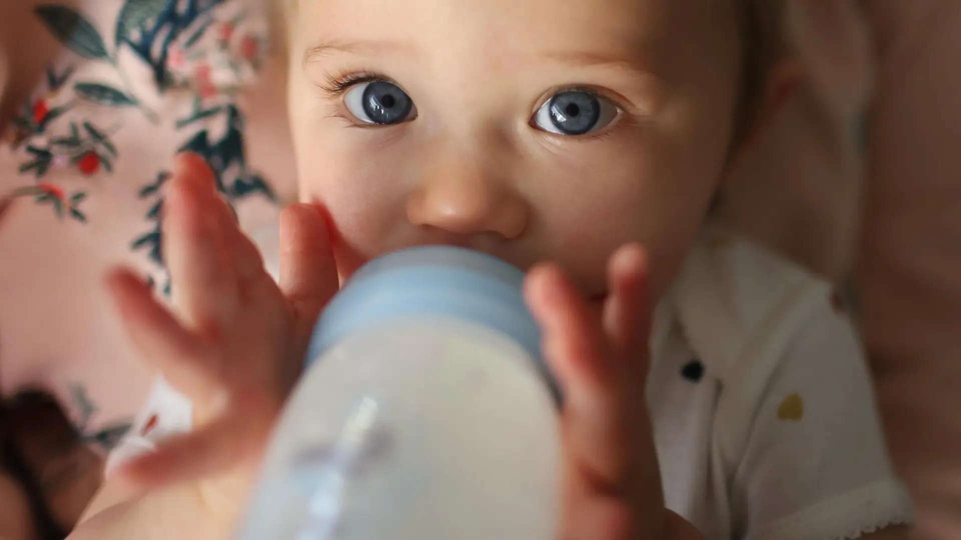 Leche contaminada: Sanidad refuerza la vigilancia ante las intoxicaciones y cree que "podría haber más casos"