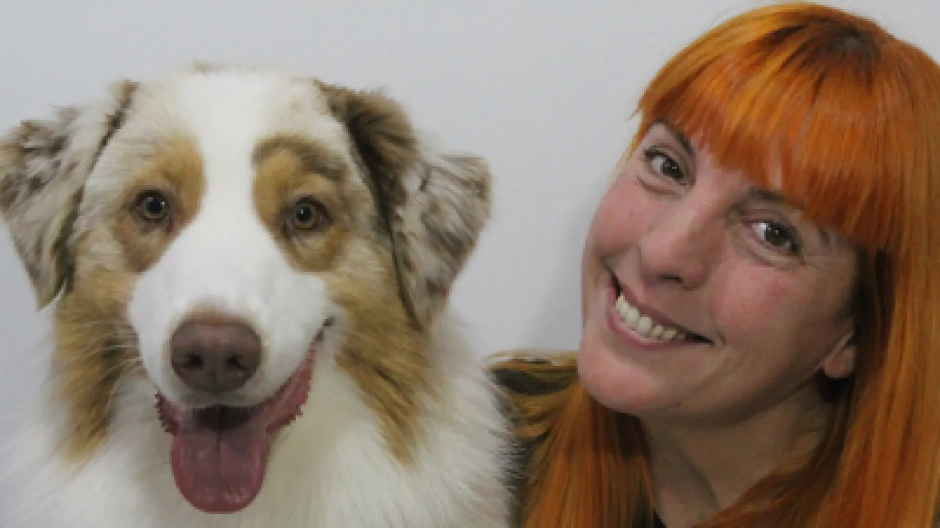 ¿Puede la inteligencia artificial ayudar a educar a un perro? Así funciona la nueva IA canina SofIA