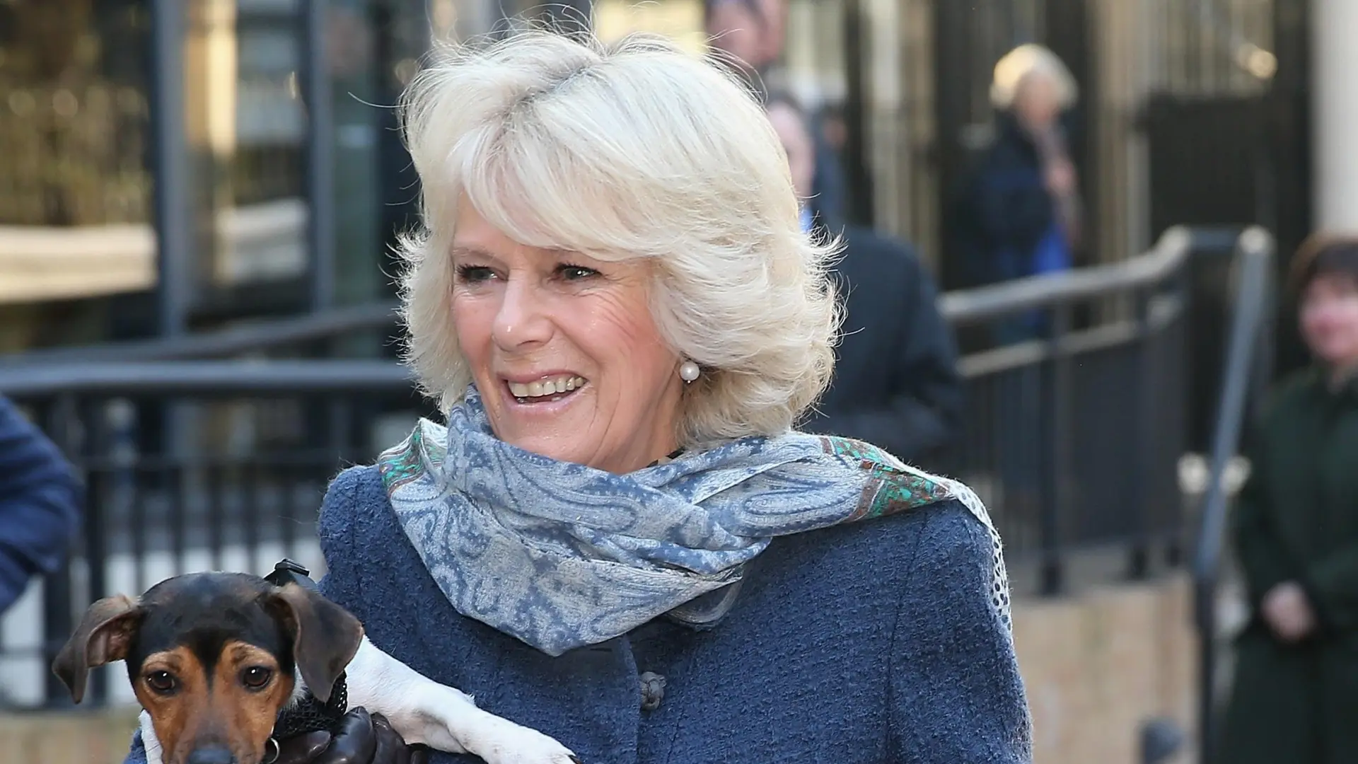 La reina Camila prepara un documental sobre su amor por los libros y cómo influyó el encarcelamiento nazi de su padre