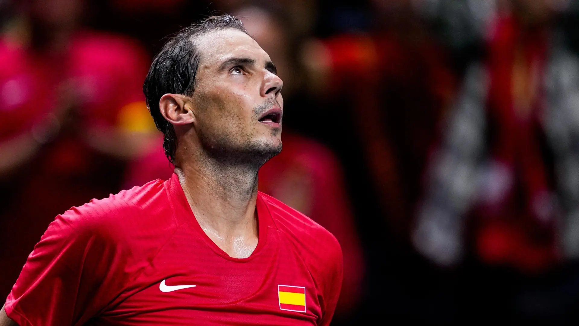 El imperio millonario de Rafa Nadal: 123 millones en premios, inversor en  empresas de lujo y poseedor de varios negocios