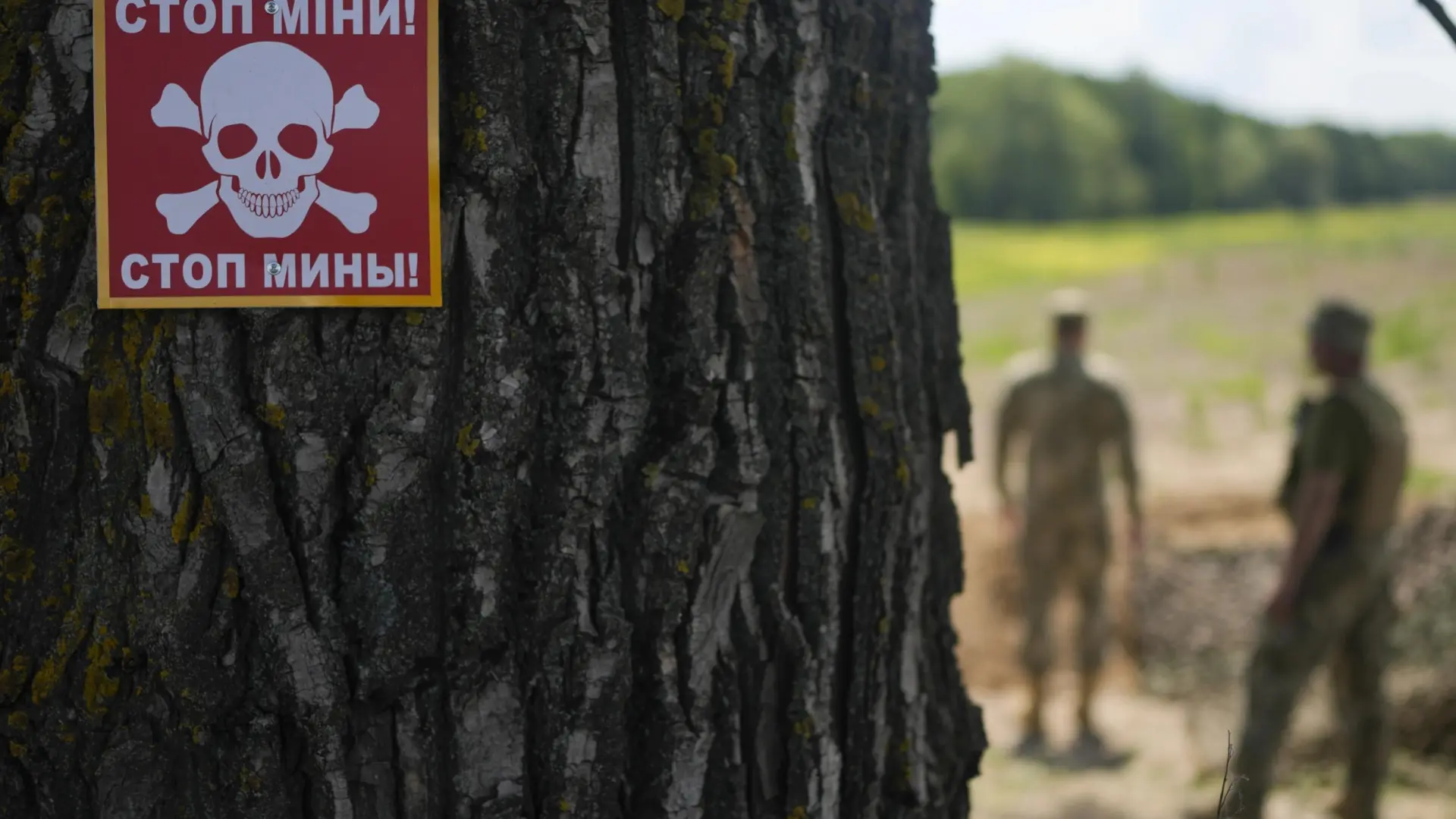 
         Zelenski firma el decreto que abre la puerta a la salida de Ucrania del tratado contra las minas antipersona 
    