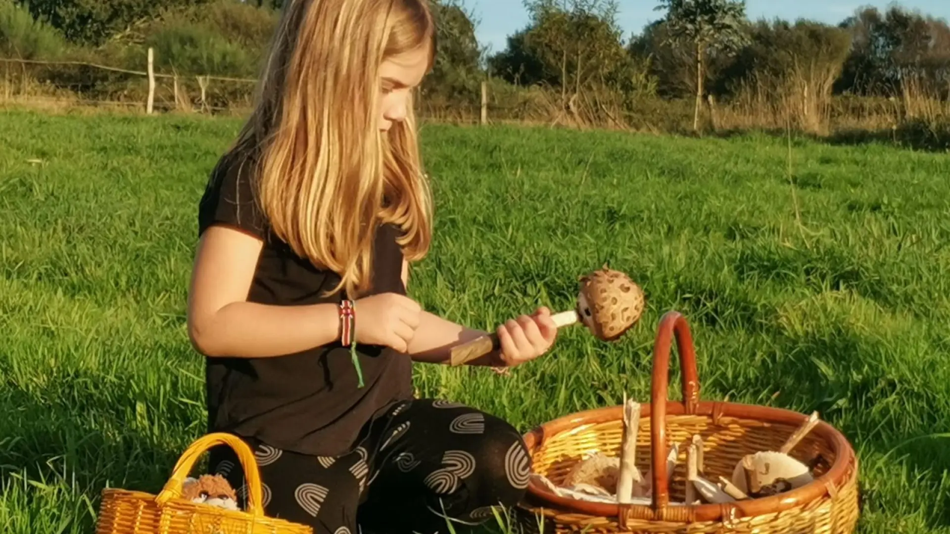 Navia Rodríguez, la niña micóloga que recolectaba setas con un año: "Reconoce las especies sin problema"