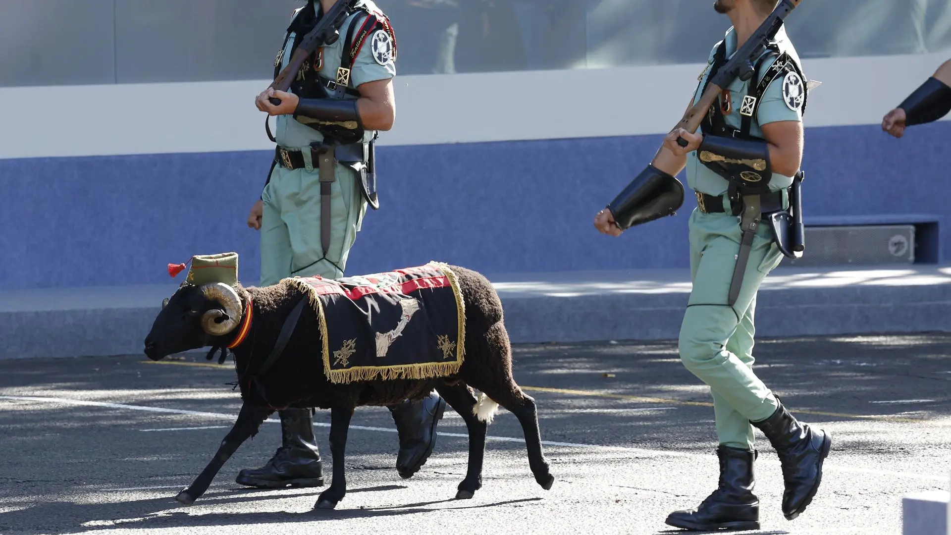Baraka, el borrego de la "buena suerte" de la Legión, participa en el  desfile militar por el Día de la Hispanidad