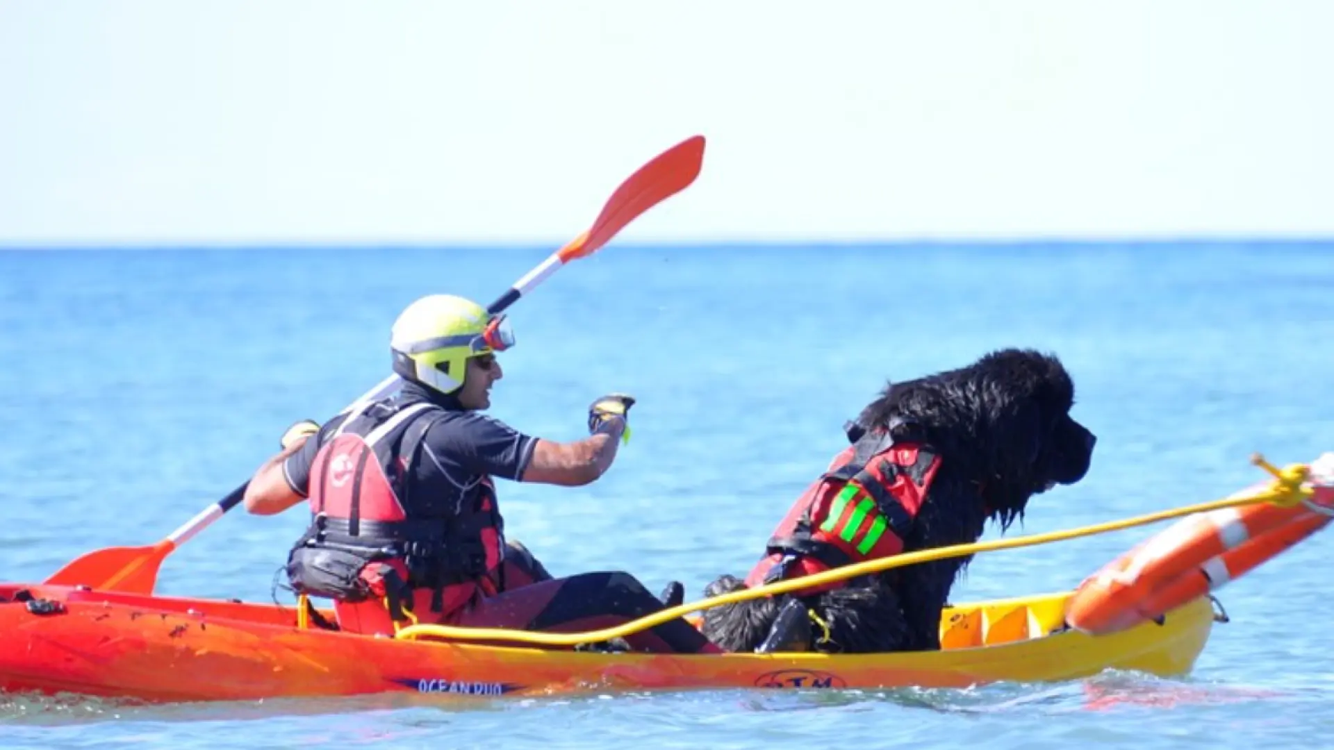 GRESCAN, la alianza entre hombre y perro que salva vidas en el mar