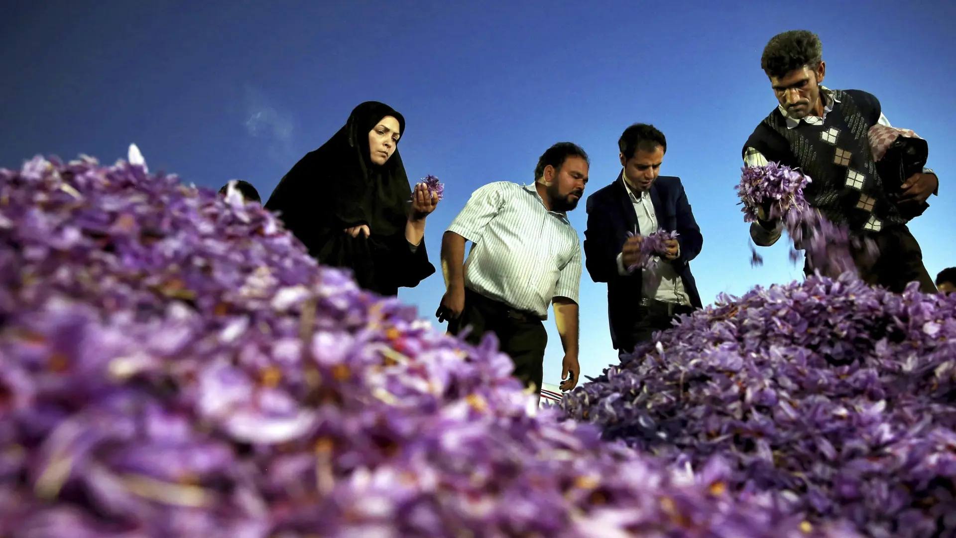 La compra masiva de azafrán iraní y la venta de maquinaria y medicinas exponen a España al nuevo 'arancel' del 25% de Trump