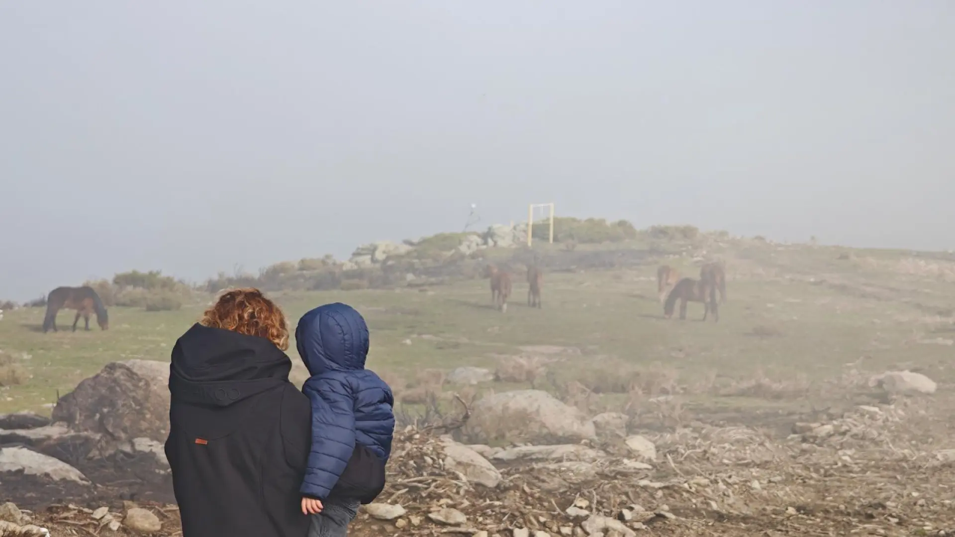 Cristina Sánchez, madre de Miguel, con la ultrarrara hemiplejia alternante: "Mi hijo nació ya luchando"