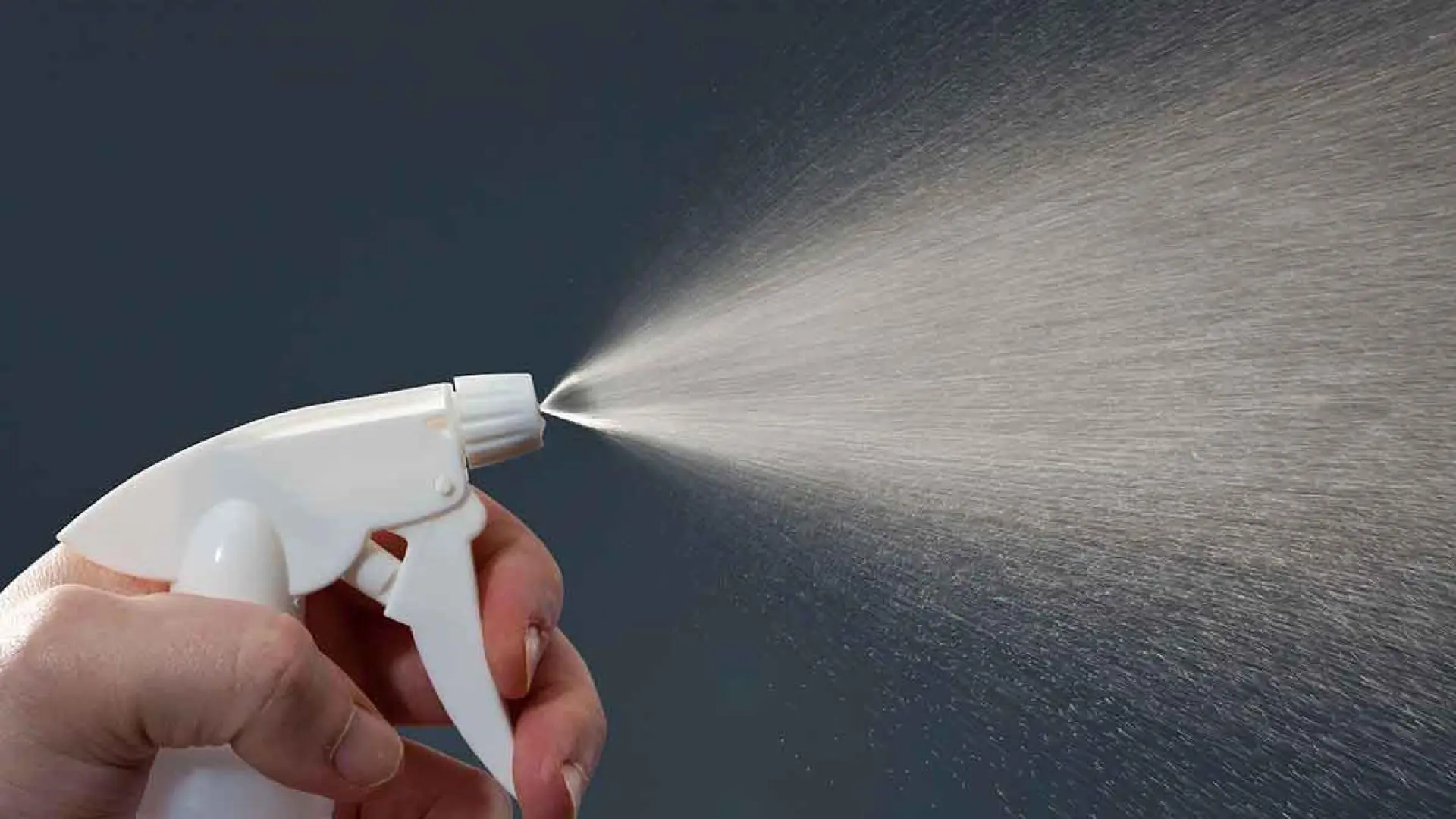 Rociar con agua a los gatos no los educa: por qué este mito sigue circulando