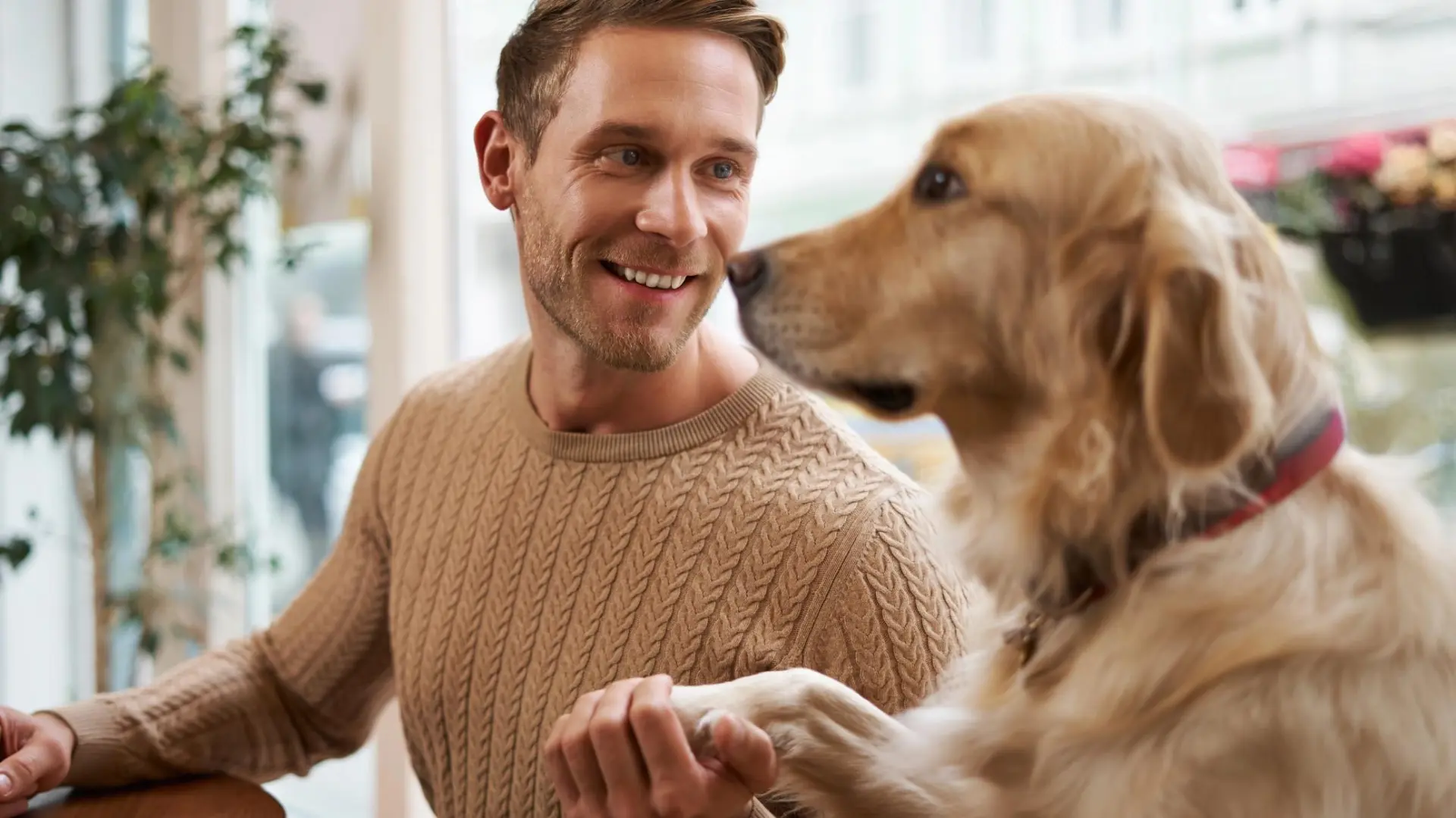 ¿Irradias 'energía golden retriever'? Estas cinco razas de perro comparten tu forma de ver el mundo