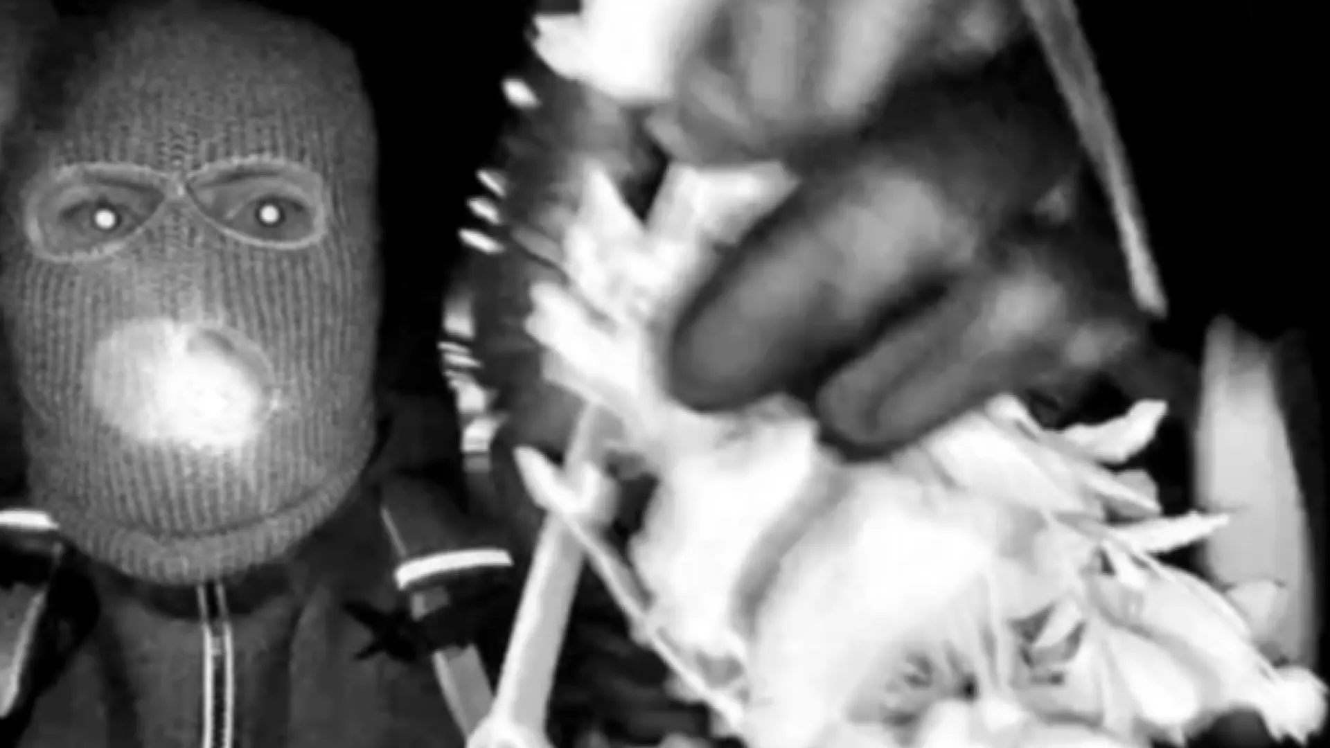 Una detención reaviva la investigación por la desaparición de la madre de Savannah Guthrie