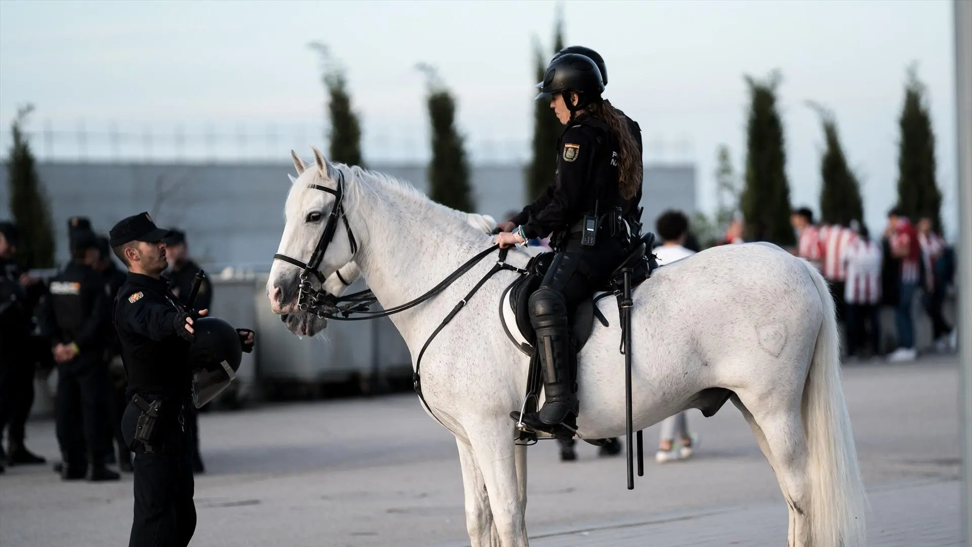 La personalidad, clave en la selección de caballos de Policía según un estudio internacional