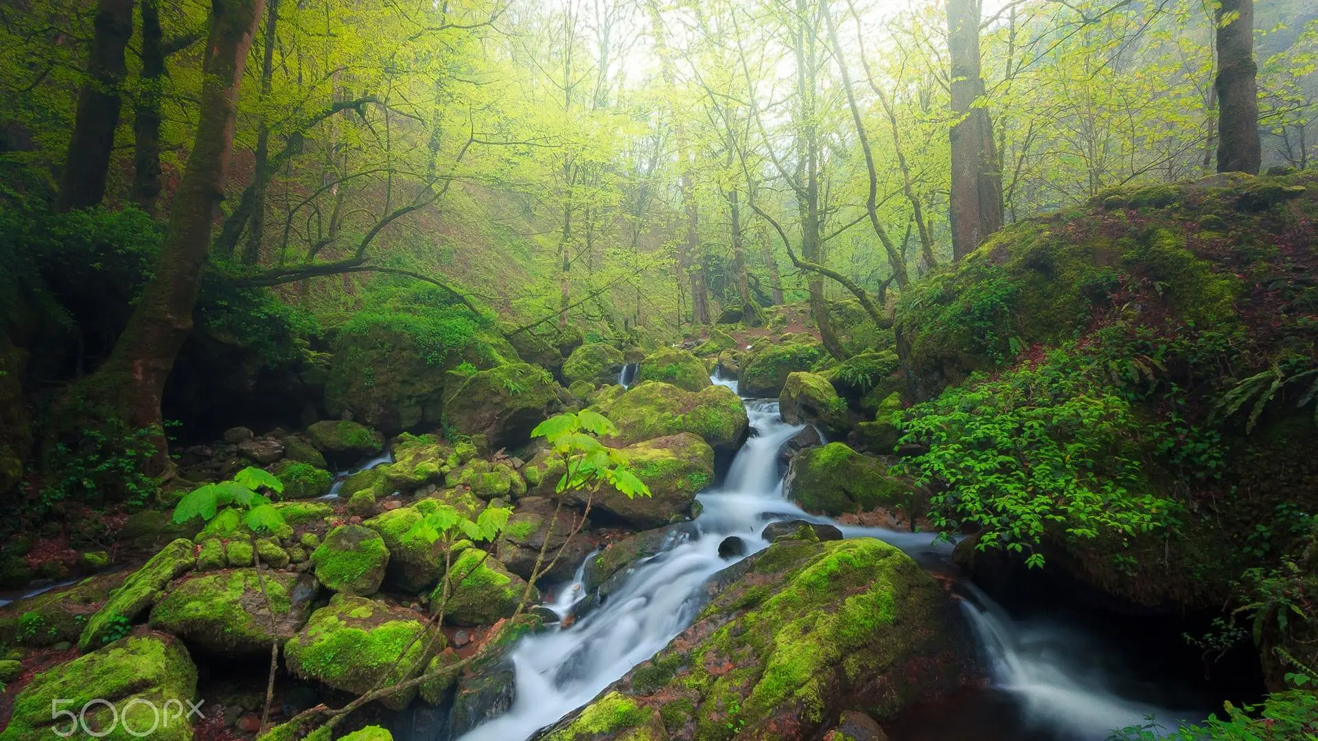 El sitio Patrimonio de la Humanidad que Irán comparte con otro país en guerra en Oriente Medio