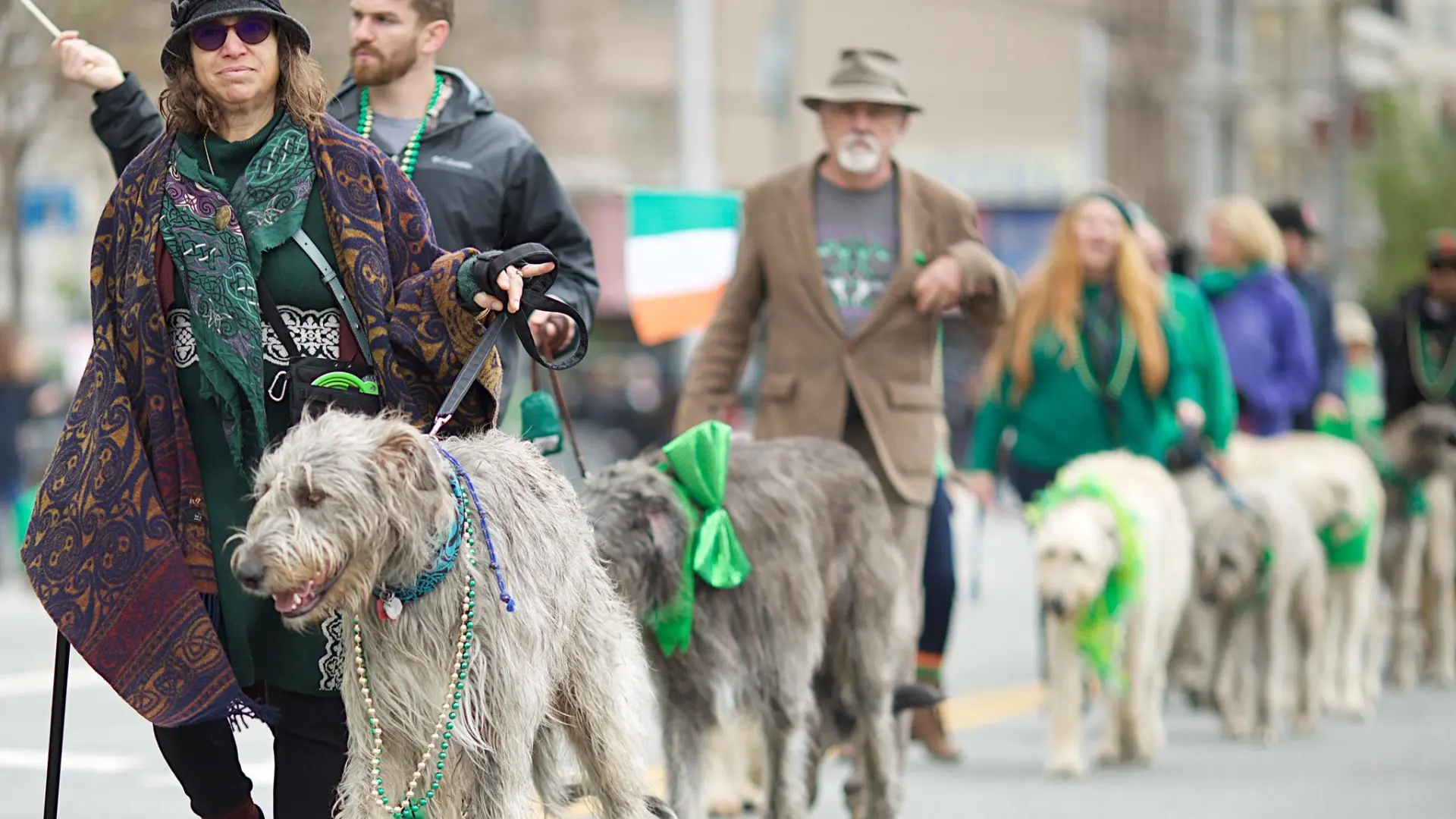 Entre mitos y pastos en San Patricio: la larga historia de Irlanda con los animales