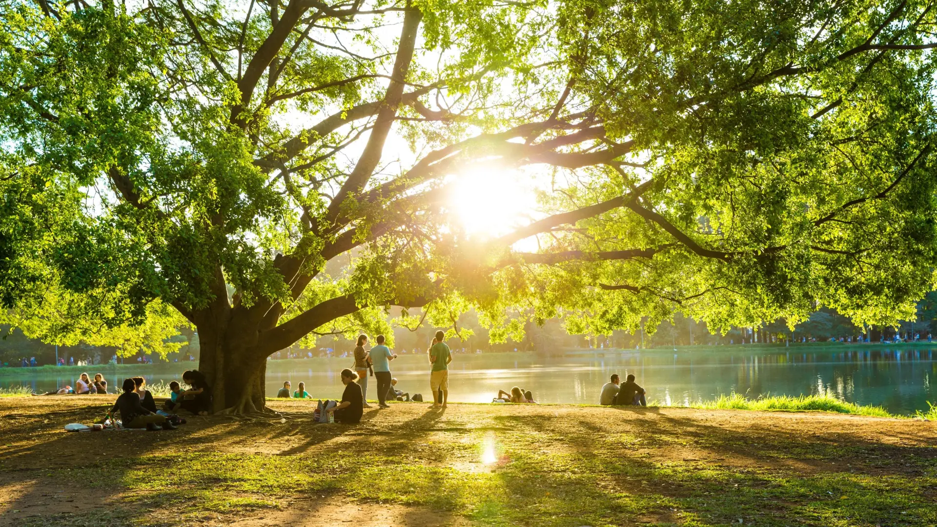 
         Controlar el acceso para proteger a los menores 
    