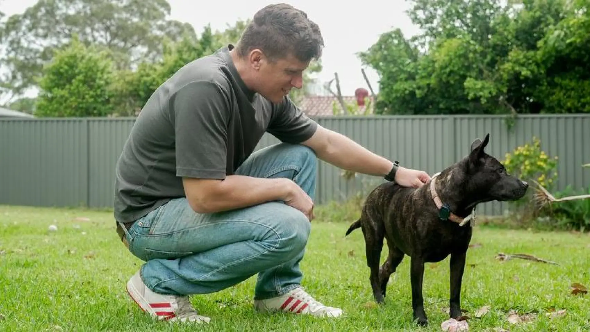 Una vacuna contra el cáncer diseñada con IA reduce los tumores de una perra: por qué el caso exige cautela