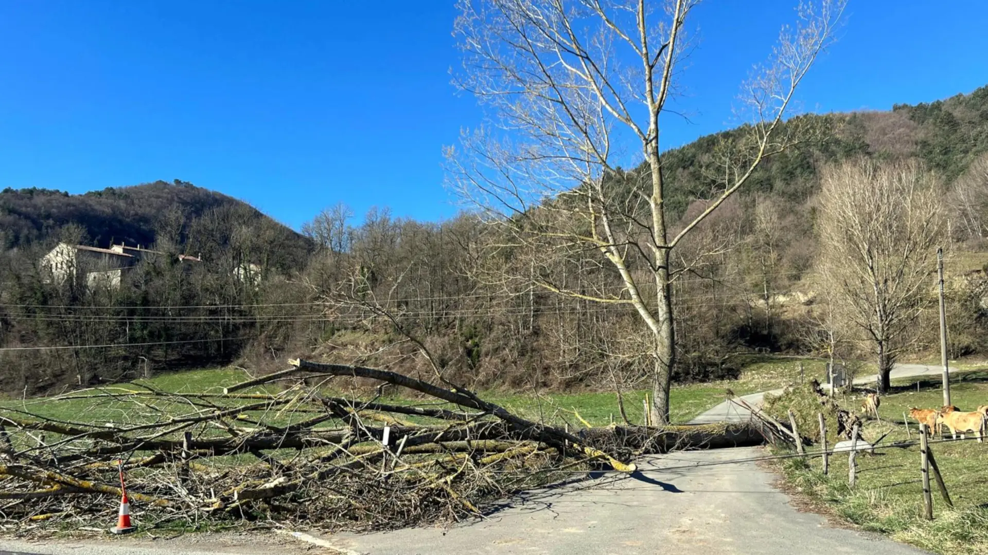 Protecció Civil alerta del fuerte viento en Tarragona, Lleida, Girona y cotas altas del Pirineo