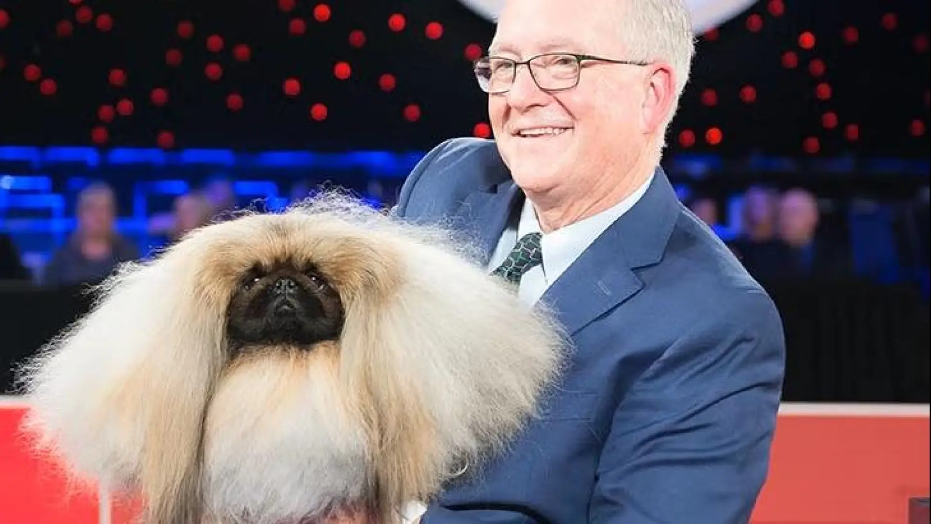 
         La justicia de Nueva York tumba una demanda de PETA contra el Kennel Club Americano 
    