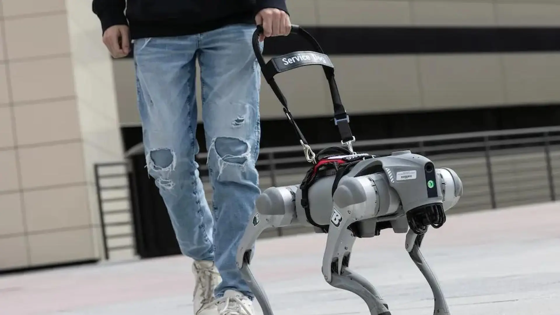 Este perro robot utiliza ChatGPT para hablar y ayudar a personas ciegas a moverse: así lo hace