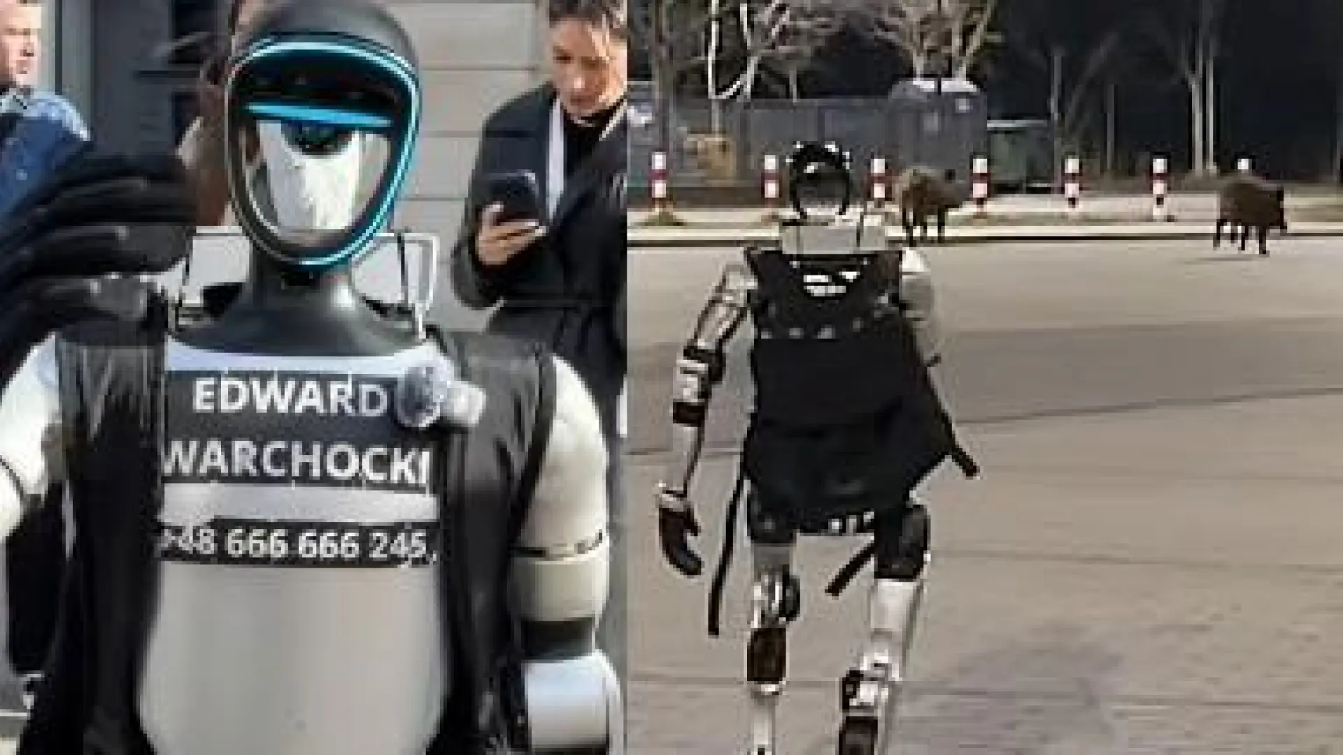 El robot que persigue a los jabalíes en Polonia tiene nombre, es 'influencer' y toda una celebridad en el país