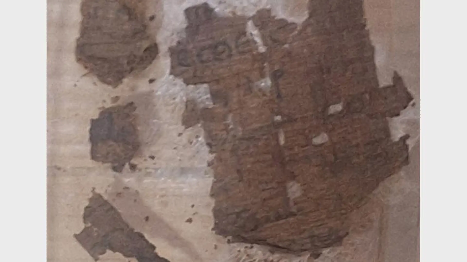 La Universidad de Barcelona halla una momia romana en Egipto con un fragmento de la 'Ilíada' de Homero