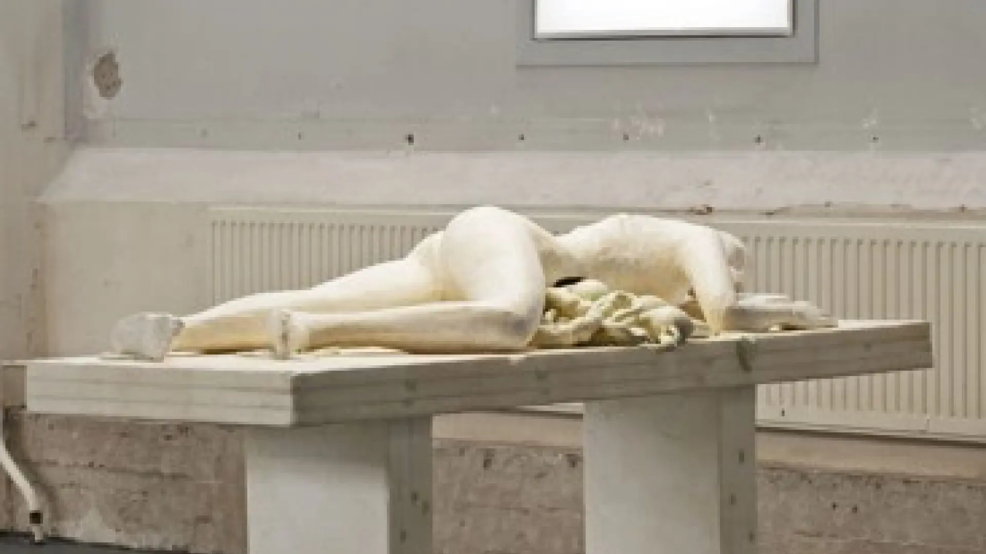 Fotos Fotos Anatomía y arte Imágenes Imágenes