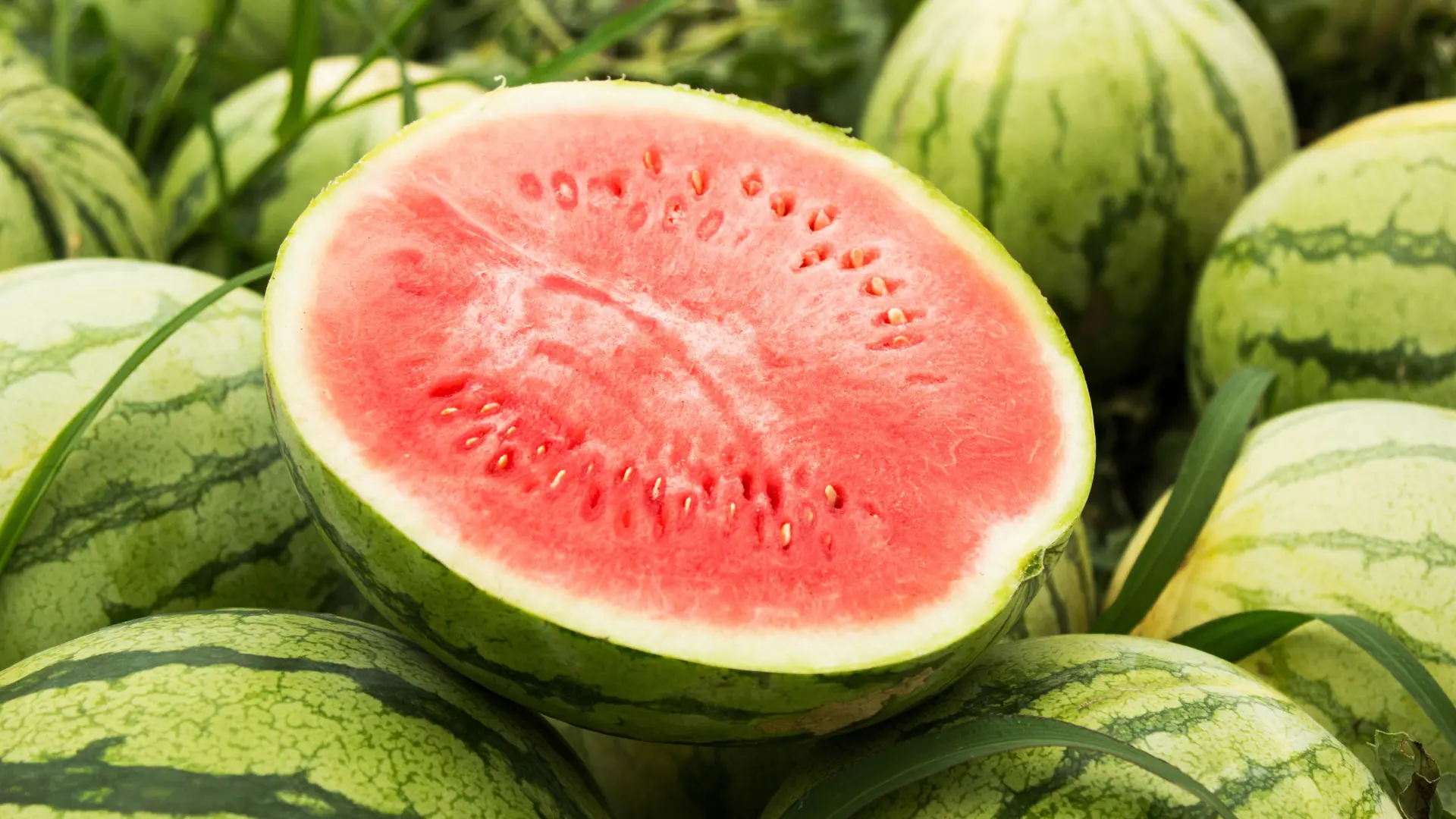 Cómo descubrir si una sandía está firme, jugosa y roja solo con tocarla