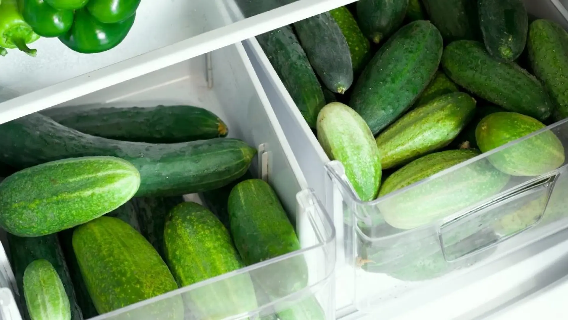 La forma correcta de guardar pepinos para que no se estropeen
