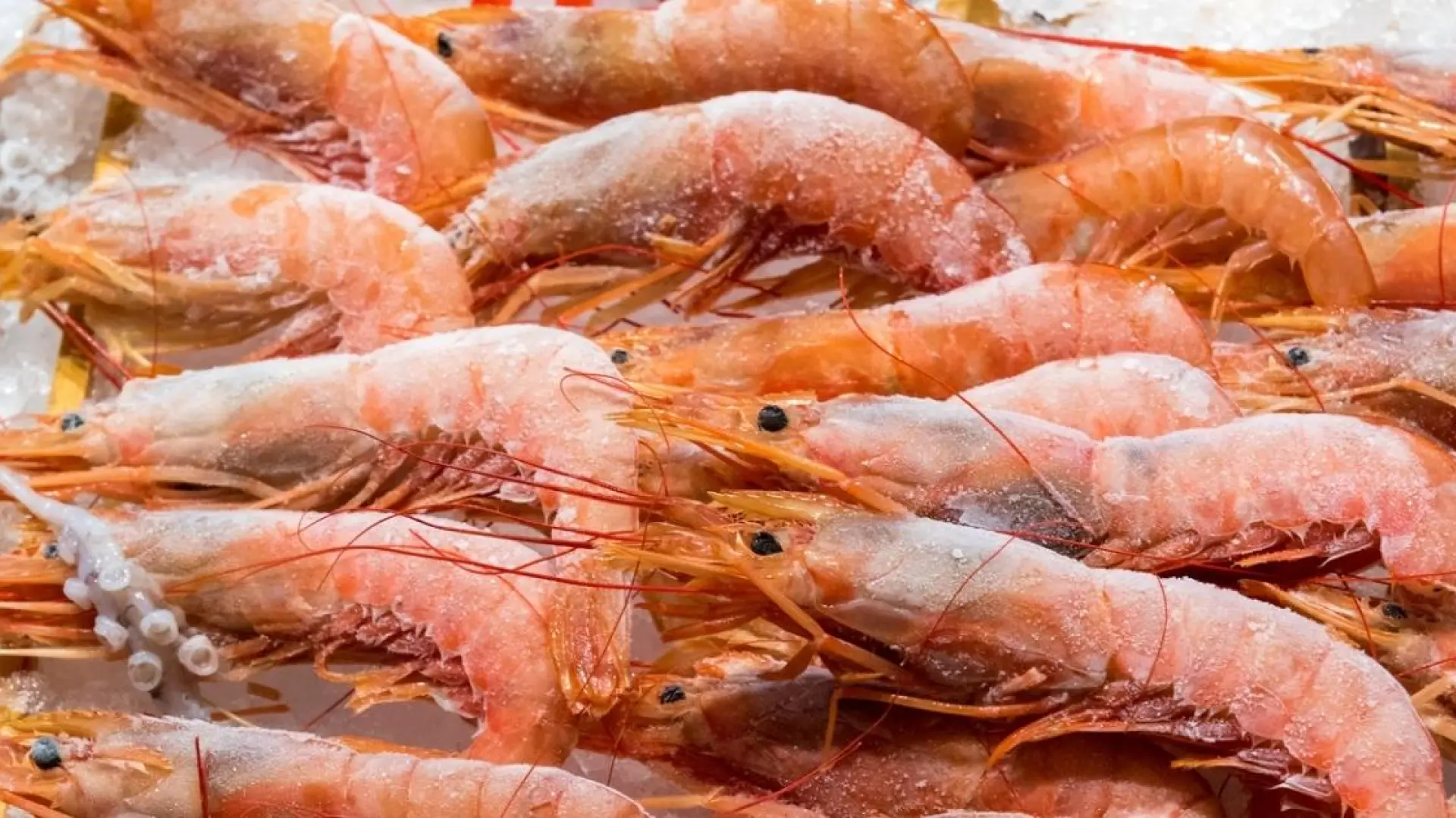 El método correcto para cocer los langostinos congelados