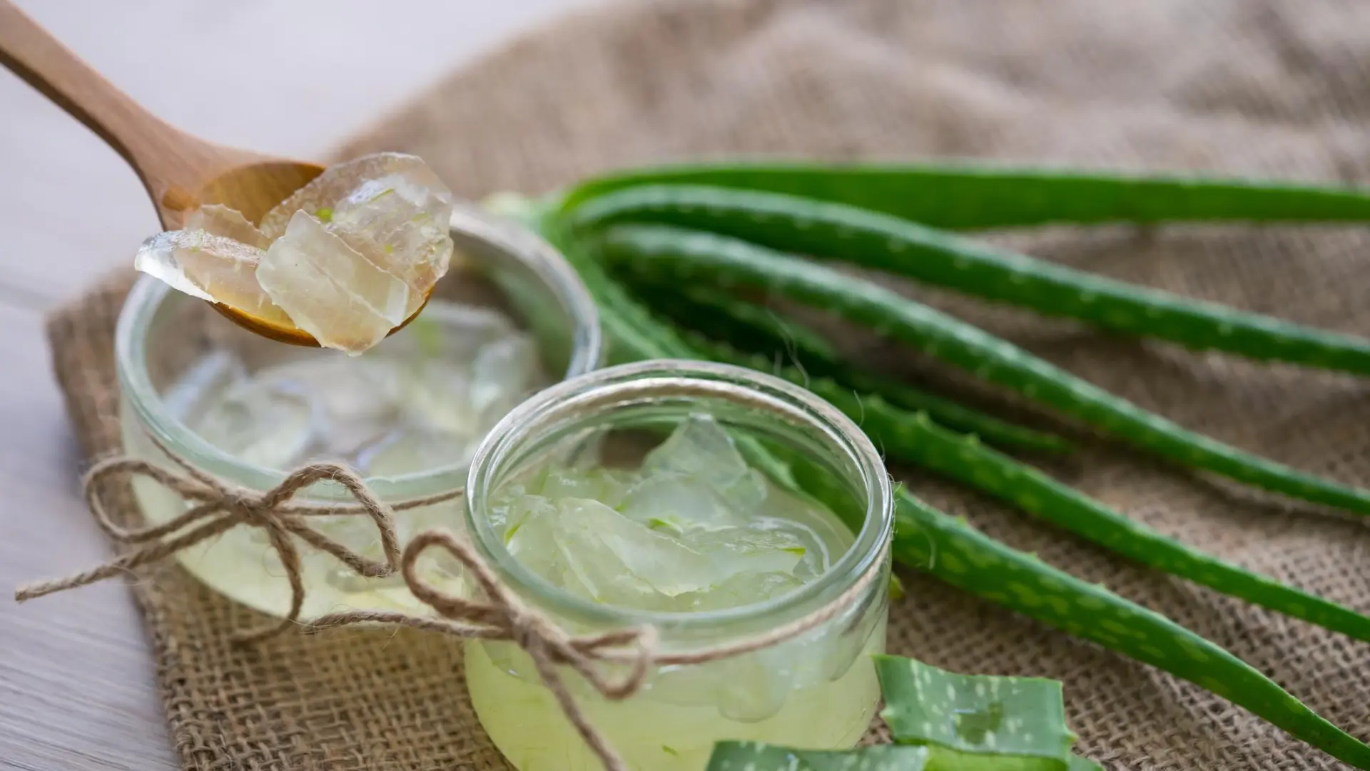 Aloe vera, una planta que regenera, hidrata, calma y desinfecta según