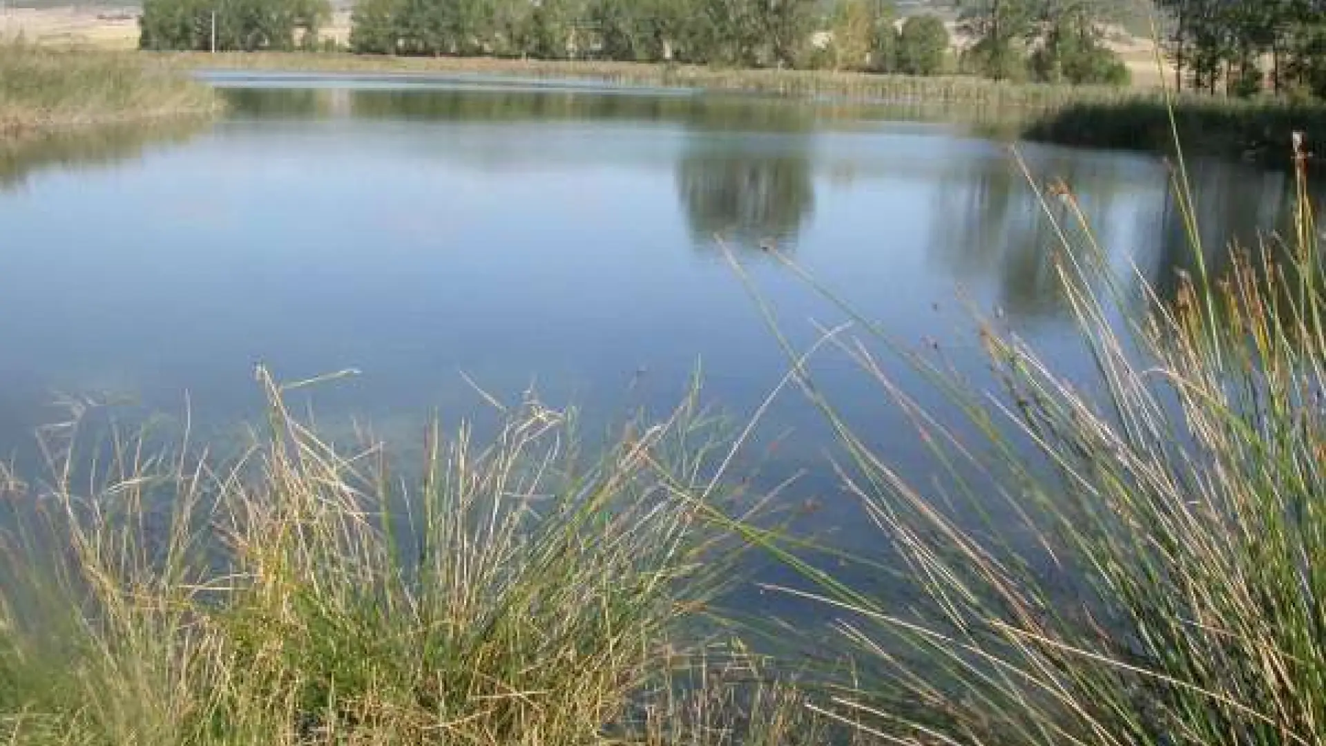 Foto de Complejo lagunar del Río Moscas en Villar de Cañas, Cuenca