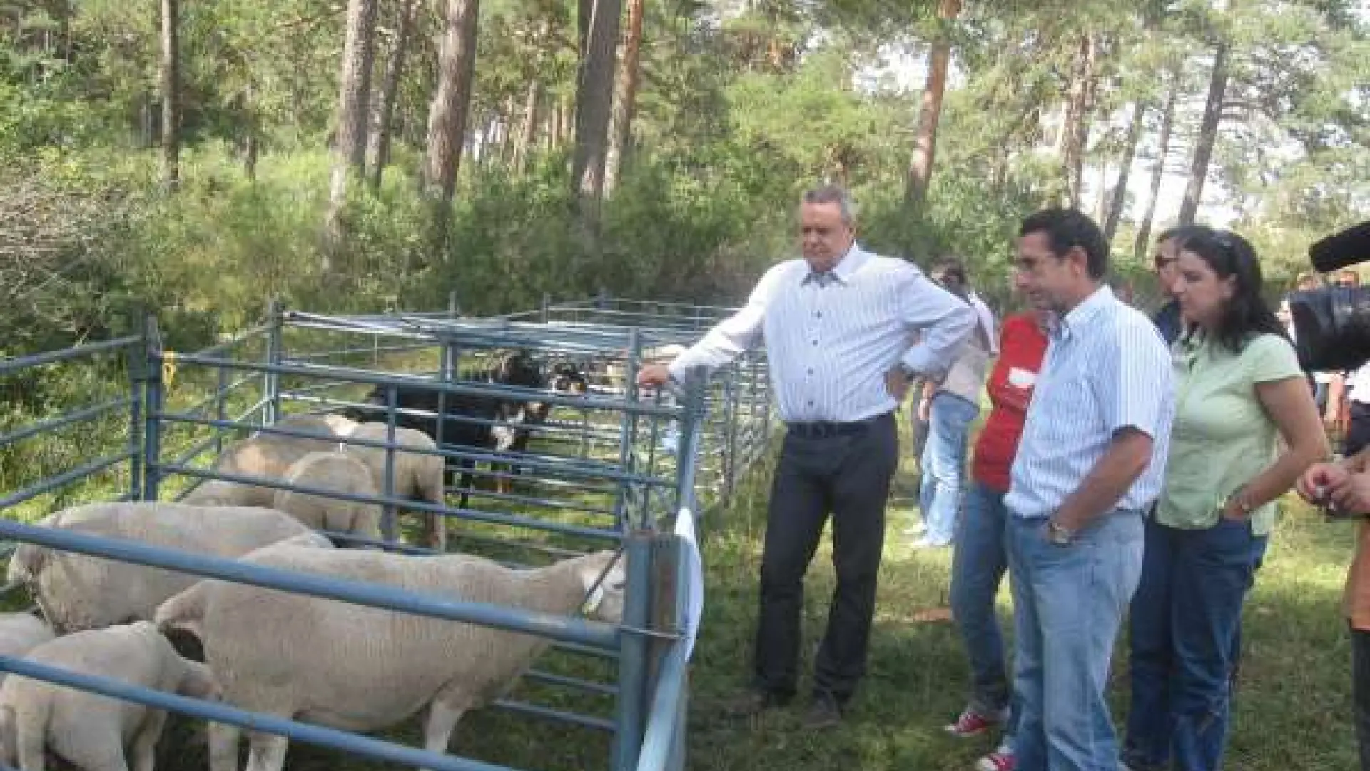 Boné dice que mantener la actividad trashumante es "vital" para