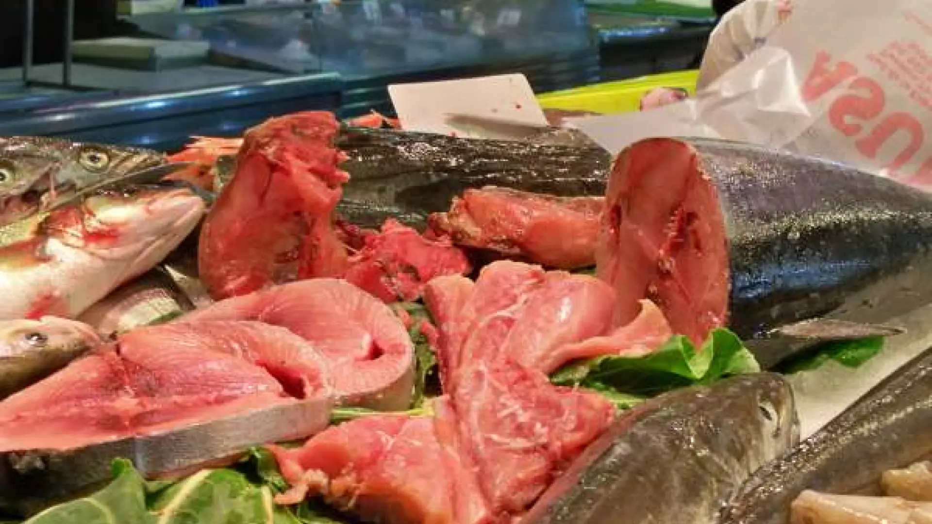 El error más común al cocinar bonito según el chef José Calleja: "Se queda como una zapatilla"