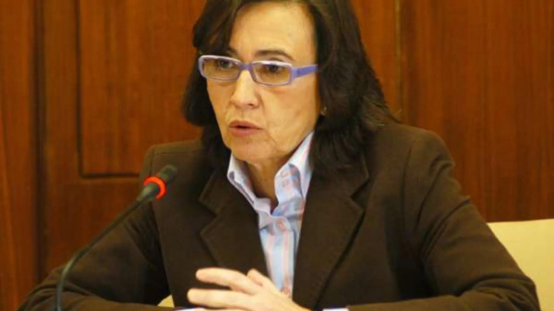 El PP pregunta este martes a Aguilar en el Senado sobre su postura ante El PP pregunta este martes a Aguilar en el Senado sobre su postura ante