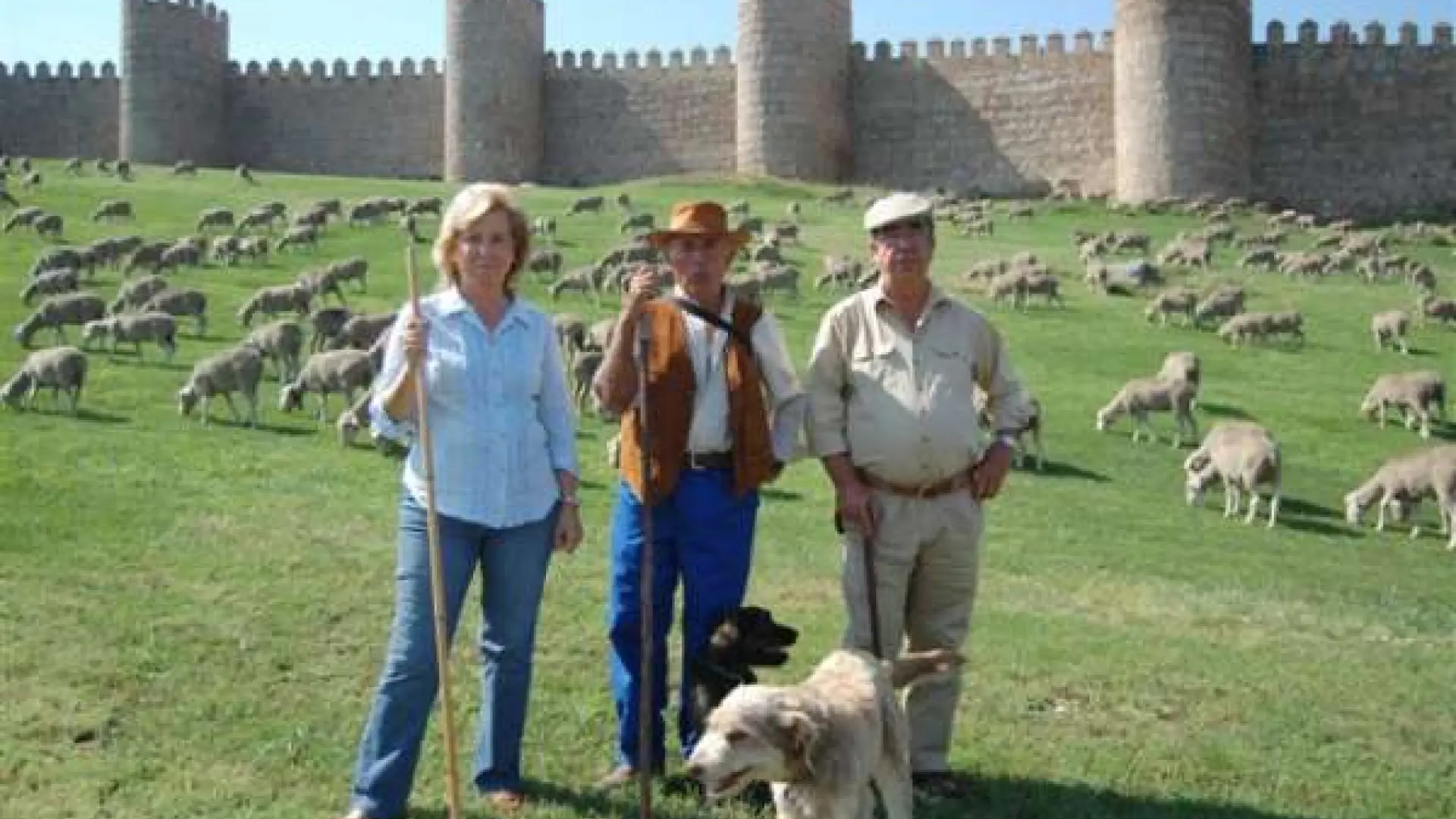 Premian al pastor que hizo la ruta trashumante "más larga de Europa