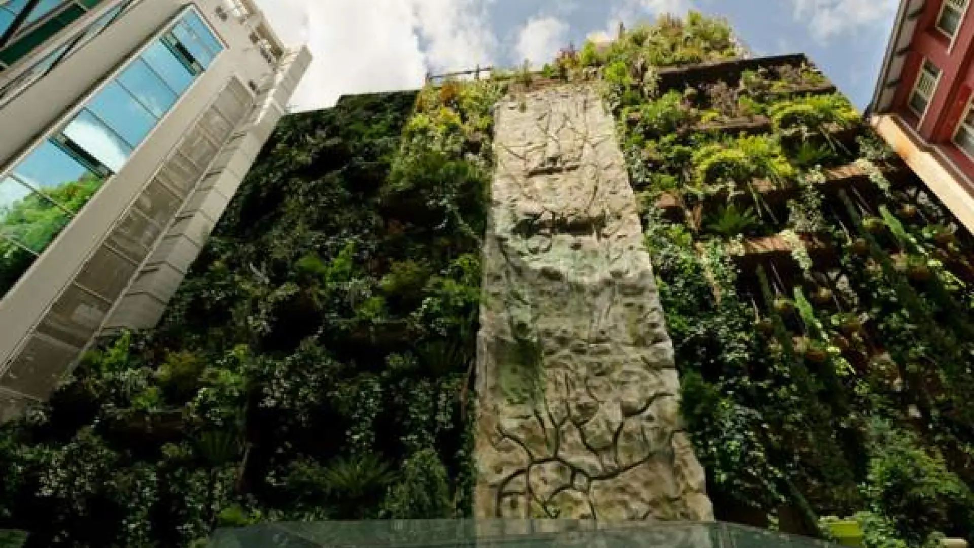 Ciudades más verdes gracias a los jardines verticales