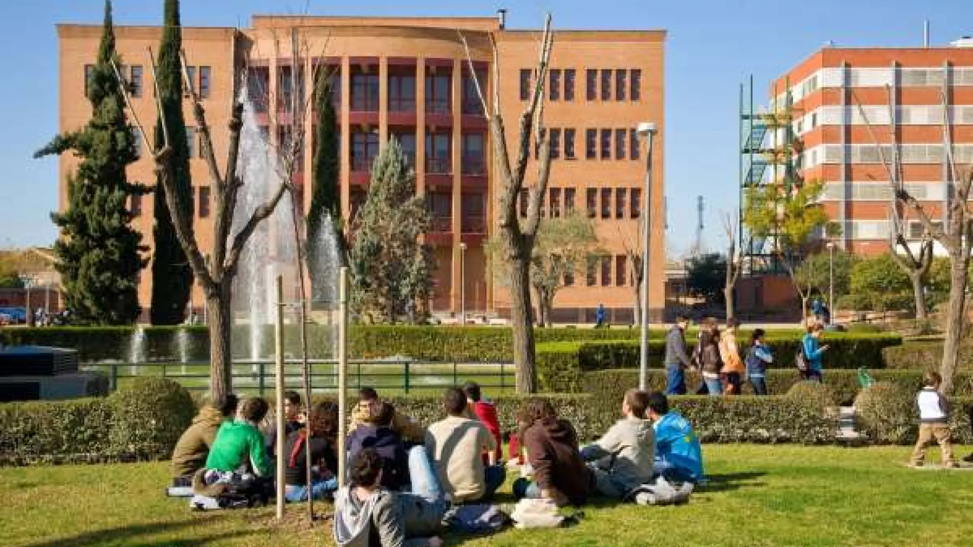La Universidad de Sevilla aprueba cinco nuevas titulaciones internacionales dobles