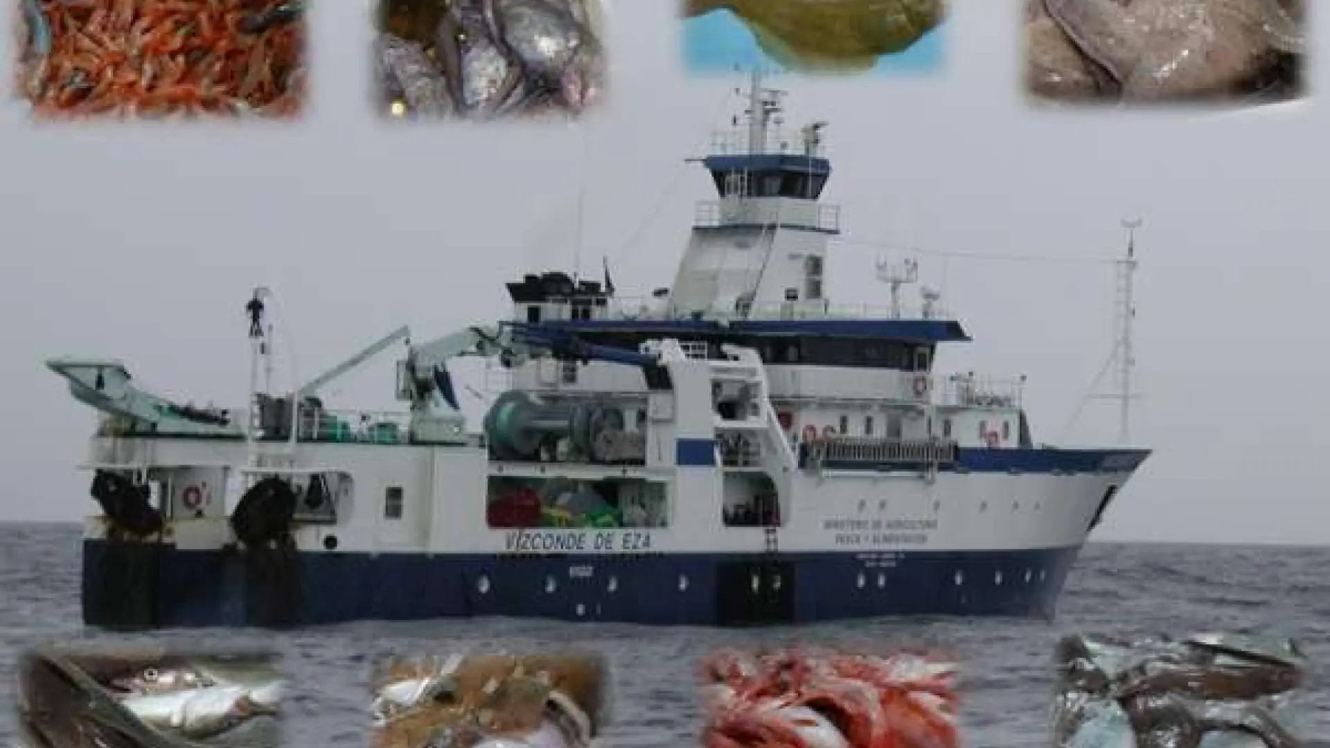 Científicos del IEO en Vigo inician tres campañas para evaluar los