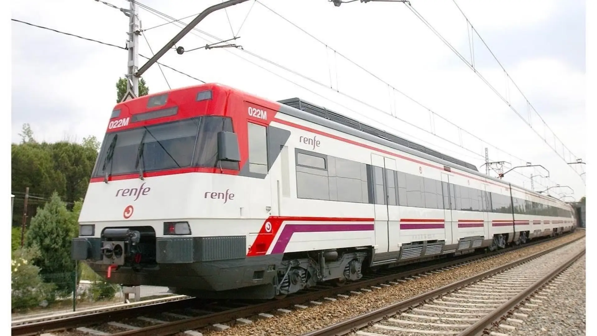 El atropello de un tren a una vaca, que dio a luz en el suceso, lleva a la Guardia Civil a encontrar el cadáver de un hombre