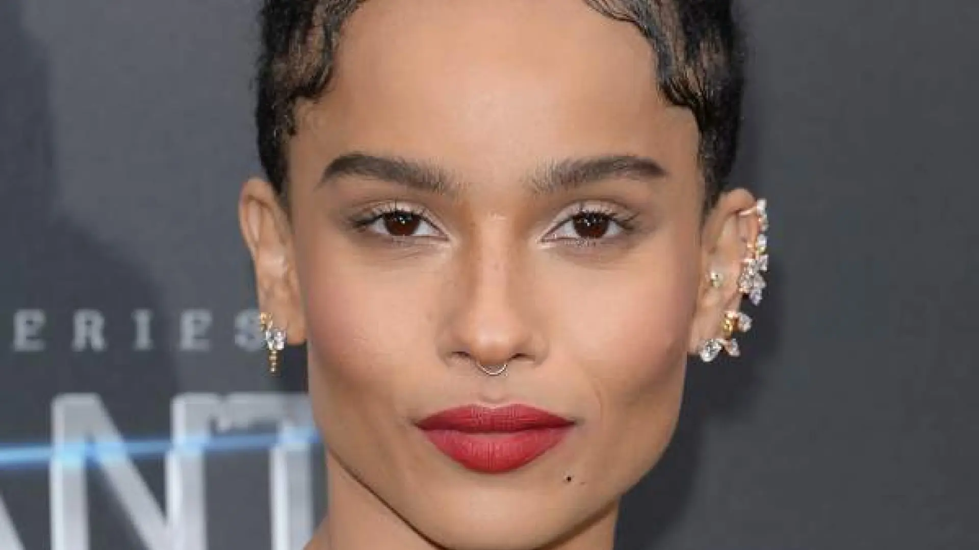 HIJA DE LENNY KRAVITZ SERIE visual data 4