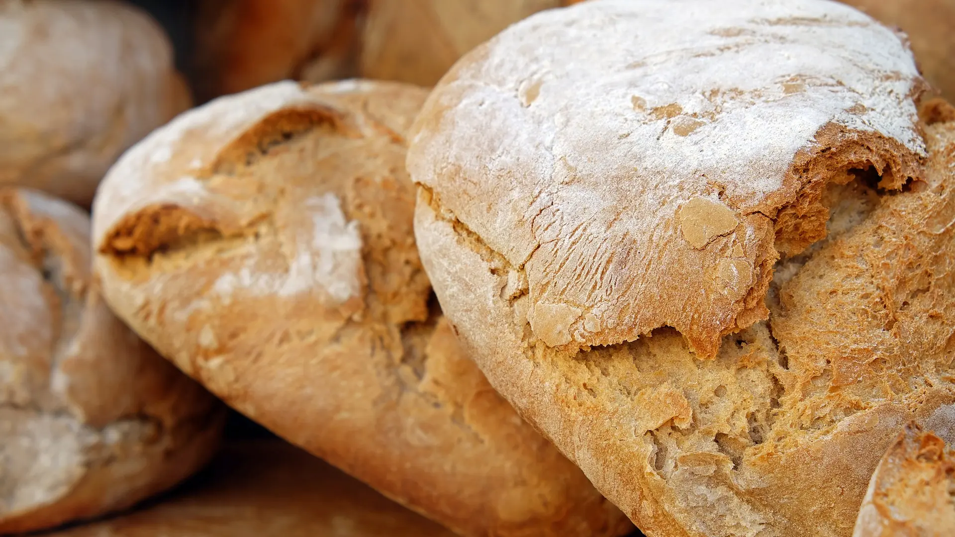 Ni espelta ni centeno: el pan con un trigo ancestral rico en proteínas y más fácil de digerir