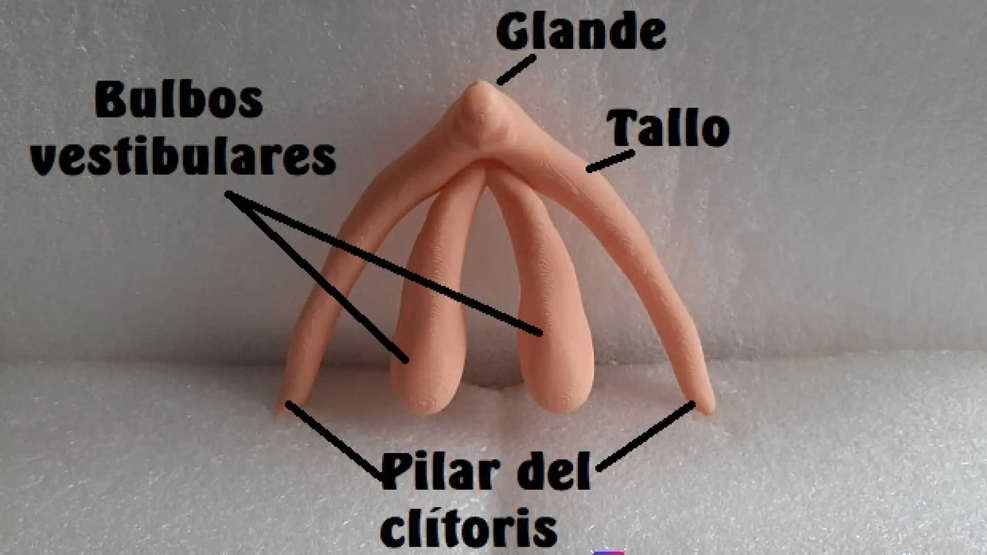 Pul uchun porno ishlab chiqarish