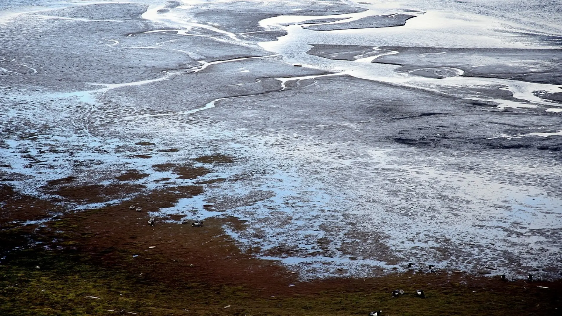 Los científicos 'resucitan' microorganismos que llevaban 40.000 años congelados en Alaska: "No están muertos"