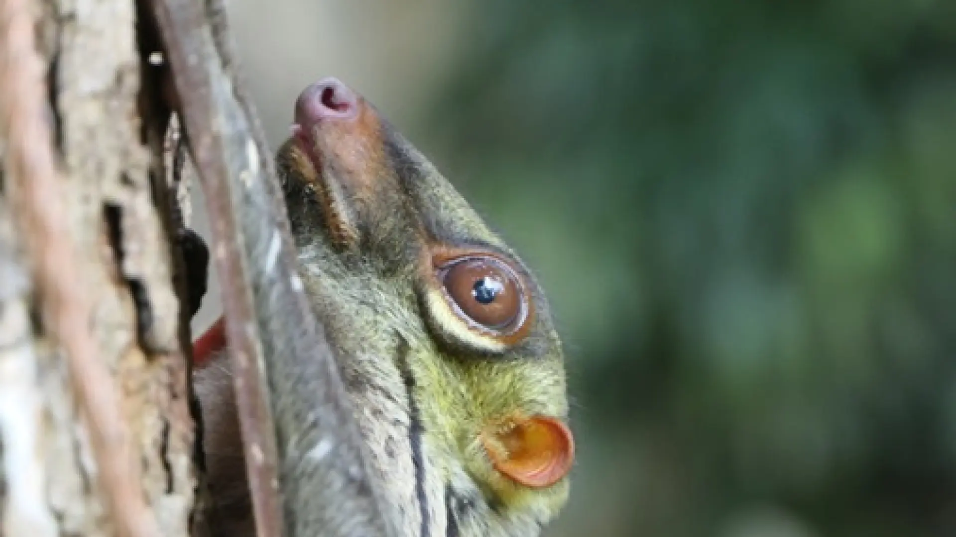 Qishloqda rus porno filmini onlayn tomosha qiling. U porno videolarni korishdan uyaladi.