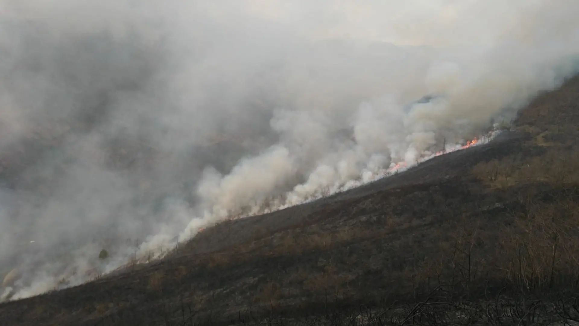 Detenido el responsable de dos incendios forestales en Belmonte de Miranda