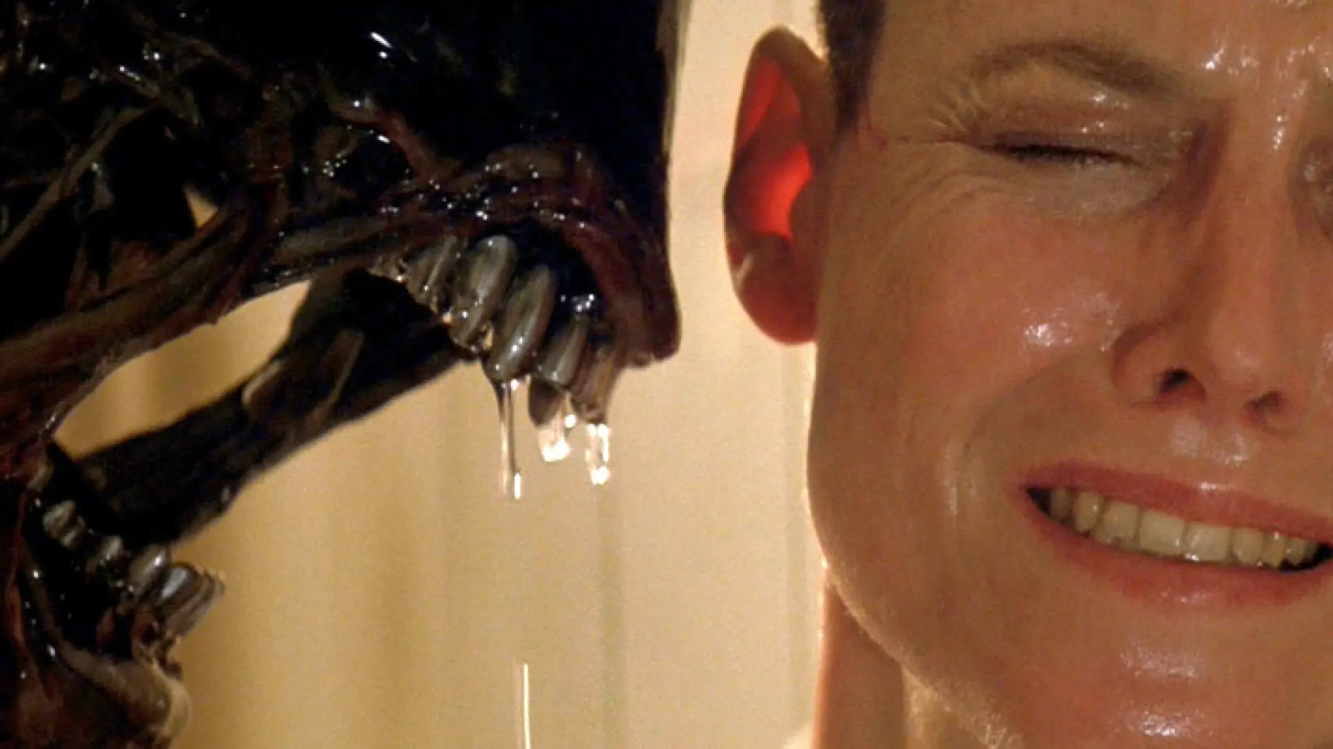 David Fincher's darkish challenge that was once hidden for years David Fincher's darkish challenge that was once hidden for years